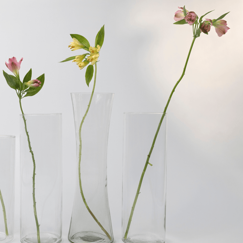 Simply Phoolish Flower stems Alstroemeria
