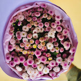 SimplyPhoolish Bunch of Buttons