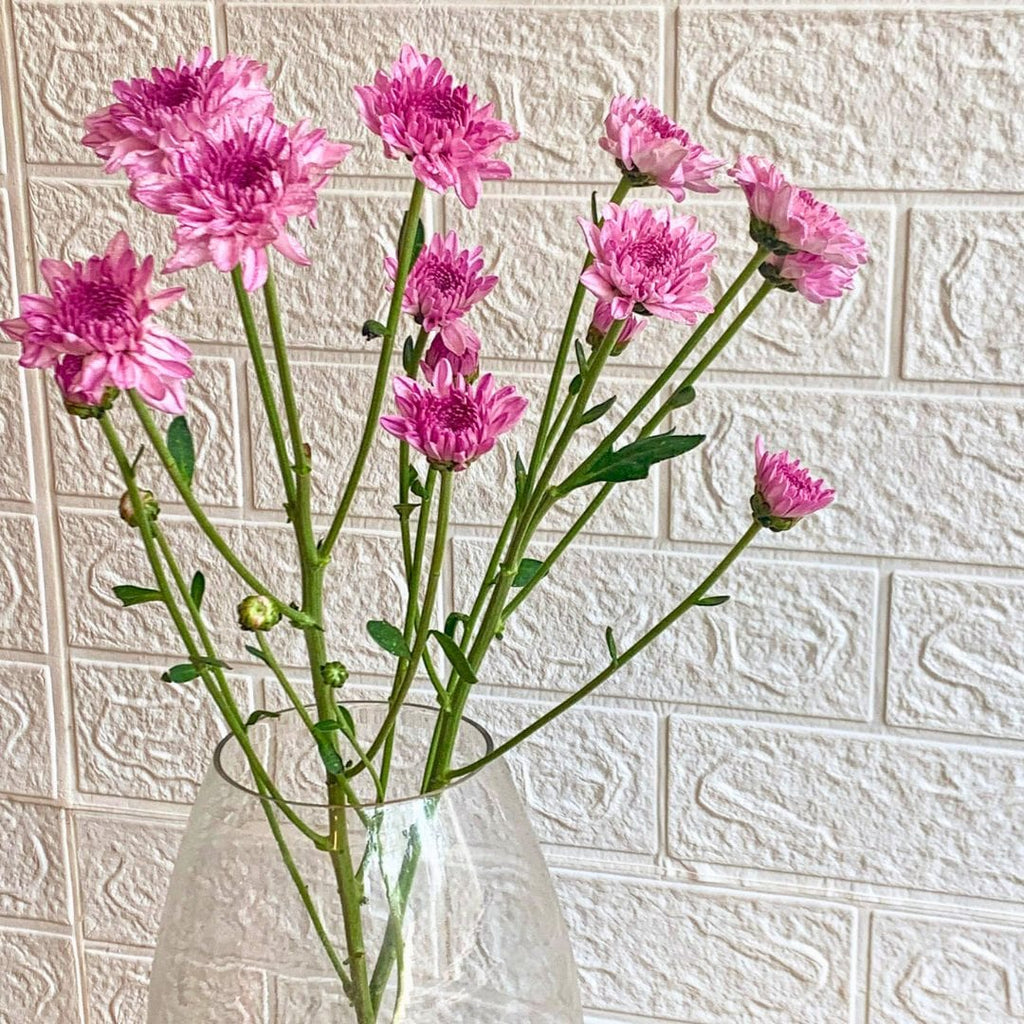 Simply Phoolish Flower stems Pink / 10 Chrysanthemums