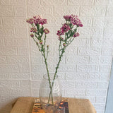 Simply Phoolish Flower stems Dual Shade (Burgundy) / 5 Chrysanthemums