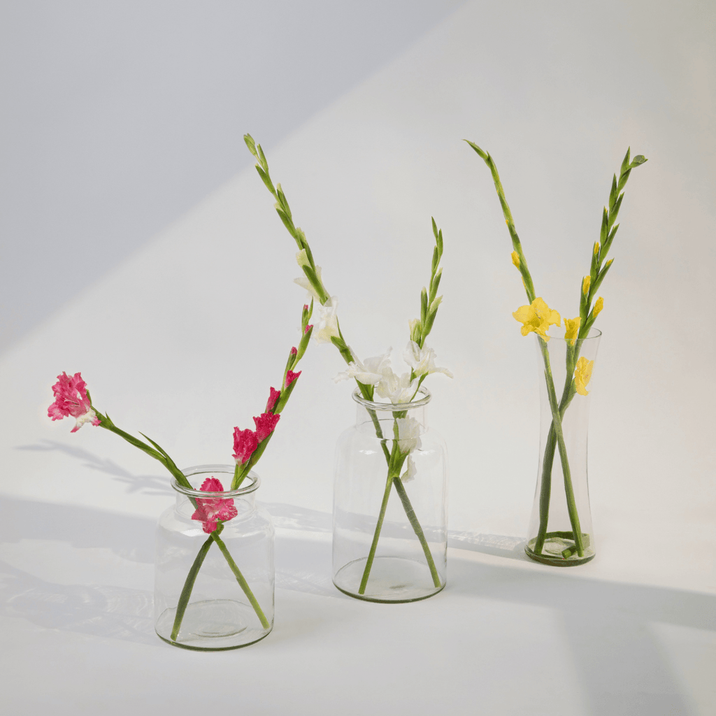 Simply Phoolish Flower stems Gladiolus