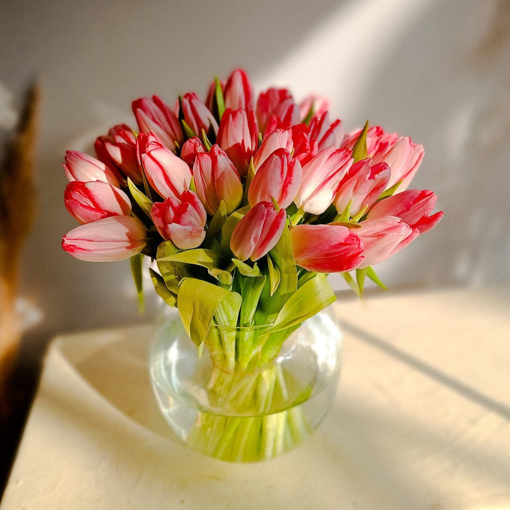 SimplyPhoolish Light Pink Springtime in a Bowl
