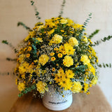 SimplyPhoolish Yellow The Top Hat