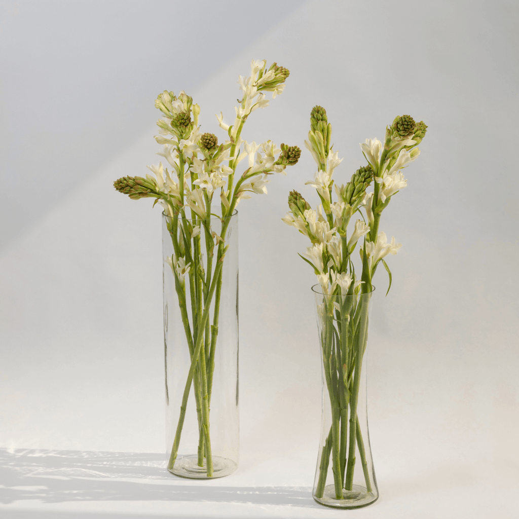 Simply Phoolish Flower stems Tuberose (Rajnigandha)