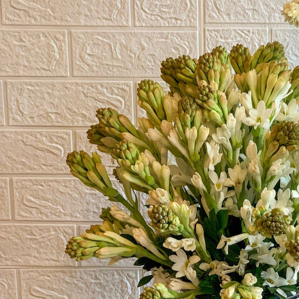 Tuberose (Rajnigandha)