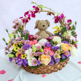 SimplyPhoolish A Star is Born