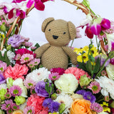 SimplyPhoolish A Star is Born