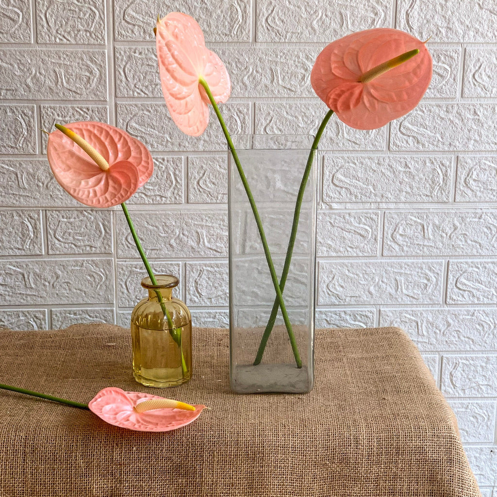 anthurium bud Anthurium – Simply Phoolish