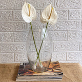 Simply Phoolish Flower stems White / 5 Anthurium