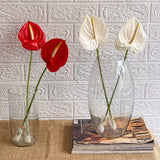 Simply Phoolish Flower stems Red / 10 Anthurium