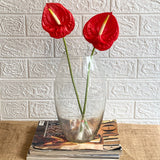 Simply Phoolish Flower stems Red / 5 Anthurium