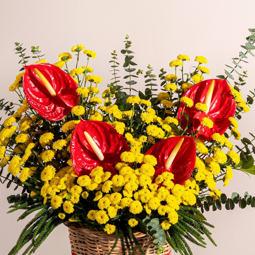 yellow anthurium flowers Anthurium Yellowdrama – Simply Phoolish
