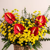 SimplyPhoolish flower arrangement Anthurium Yellowdrama