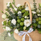 SimplyPhoolish Barkat