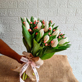 SimplyPhoolish Berry Kissed Tulips