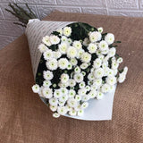 Simply Phoolish Flower stems white / 5 Stems Calimero Daisy