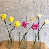 Simply Phoolish Flower stems White / 10 Stems Carnations