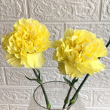Simply Phoolish Flower stems Yellow / 10 Stems Carnations