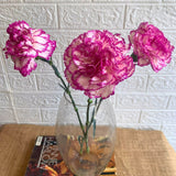 Simply Phoolish Flower stems Shaded Pink / 10 Stems Carnations