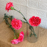 Simply Phoolish Flower stems Hot Pink / 20 Stems Carnations