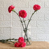 Simply Phoolish Flower stems Hot Pink / 10 Stems Carnations