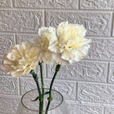 Simply Phoolish Flower stems Carnations