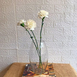 Simply Phoolish Flower stems White / 20 Stems Carnations