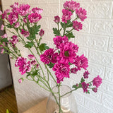Simply Phoolish Flower stems Dark Pink / 5 Chrysanthemums