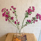 Simply Phoolish Flower stems Dark Pink / 10 Chrysanthemums