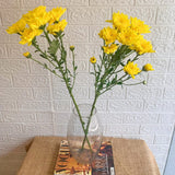 Simply Phoolish Flower stems Yellow / 5 Chrysanthemums