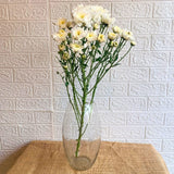 Simply Phoolish Flower stems White / 5 Chrysanthemums