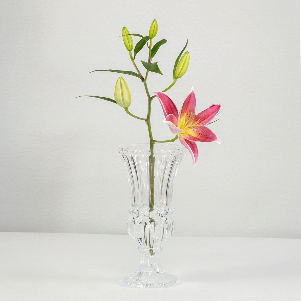 Simply Phoolish Glass Vase Crystal Glass Vase