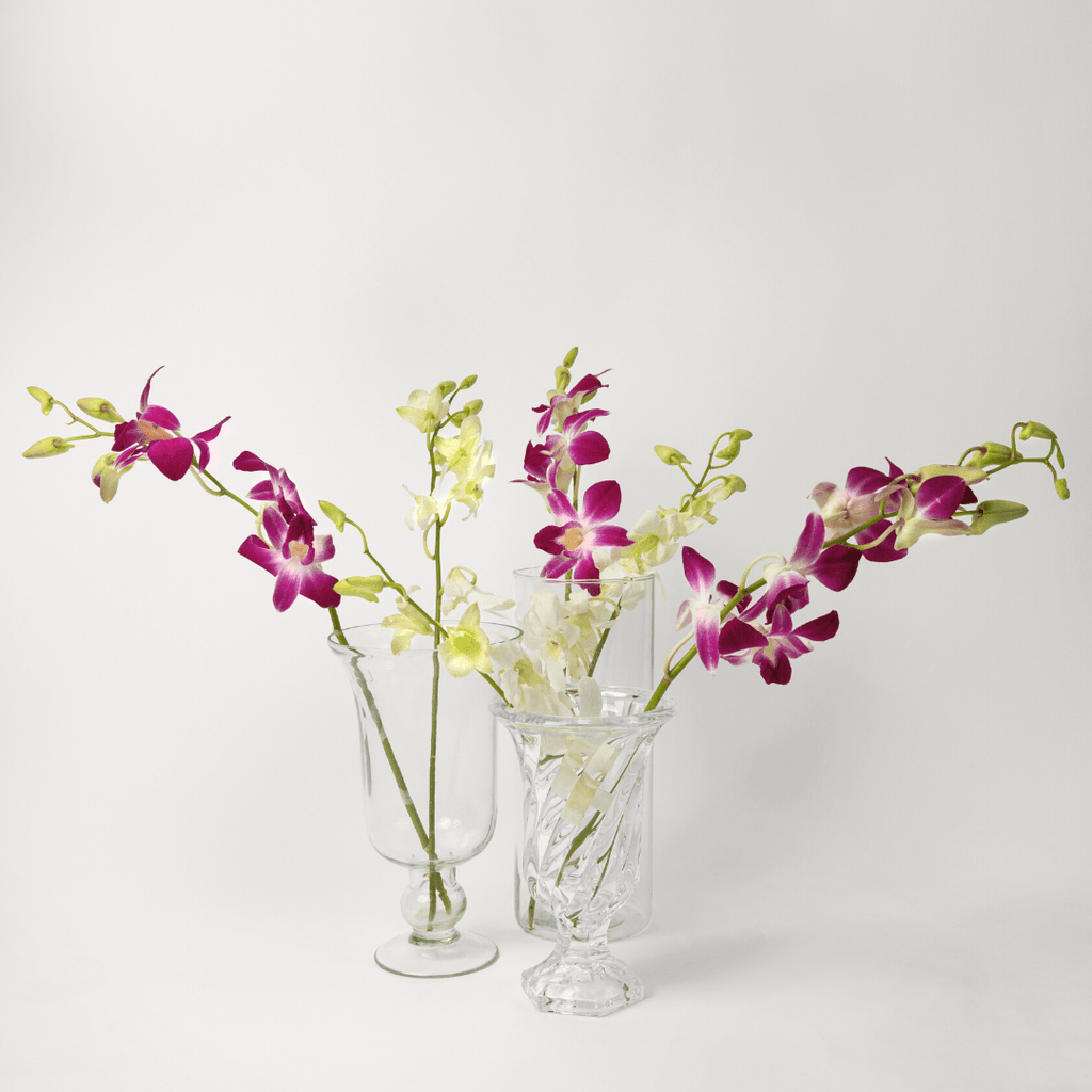 Simply Phoolish Flower stems Dendrobium Orchids