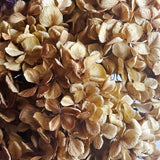 Simply Phoolish Dried Flowers in a vase v3