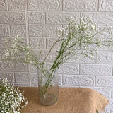 Simply Phoolish Flower stems 10 Stems Gypsophila (babies breath)