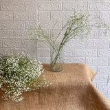 Simply Phoolish Flower stems 10 Stems Gypsophila (babies breath)