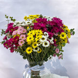 Simply Phoolish flower arrangement Jar Full of Spring