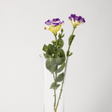 Simply Phoolish Flower stems Shaded (Purple & White) / 5 Stems Lisianthus