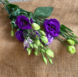 Simply Phoolish Flower stems Purple / 5 Stems Lisianthus
