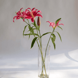 Simply Phoolish Flower stems Pink / 5 Stems Oriental Lily