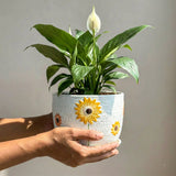 SimplyPhoolish flower arrangement Peace Lily - Serene Soul