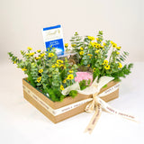 SimplyPhoolish Phool Aur Kaante Rakhi Hamper