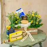 SimplyPhoolish Phoolishly Bright Hamper