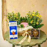 SimplyPhoolish Phoolishly Bright Hamper