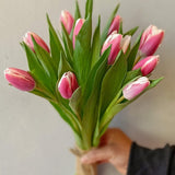 SimplyPhoolish Pink Posy of Tulips