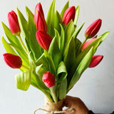 SimplyPhoolish Red Posy of Tulips