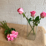 Simply Phoolish Flower stems Revival Pink / 10 Stem Rose