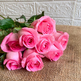 Simply Phoolish Flower stems Revival Pink / 20 Stems Rose