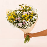 SimplyPhoolish flower arrangement Santini Daisy Flower Box