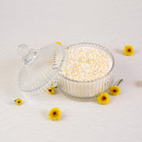 Simply Phoolish Fragrant Candle Scented Soy Candle (Frangipani)